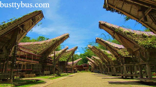 Tempat Wisata Budaya di Toraja yang Wajib di Kunjungi