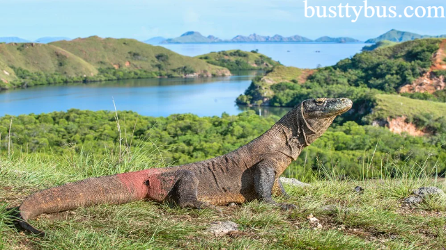 5 Desa Wisata di Labuan Bajo yang Mempesona